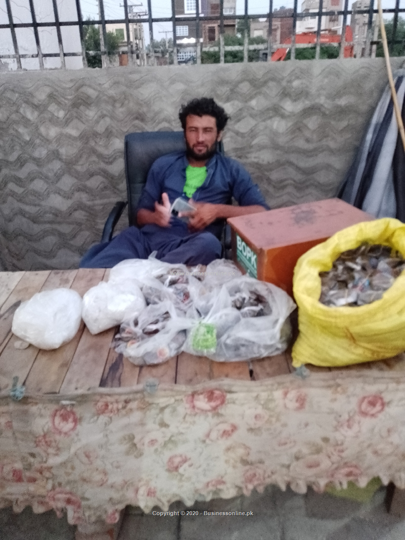 Shaheen nuswar